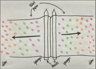 Investigating Seafloor Spreading Using Nannofossils